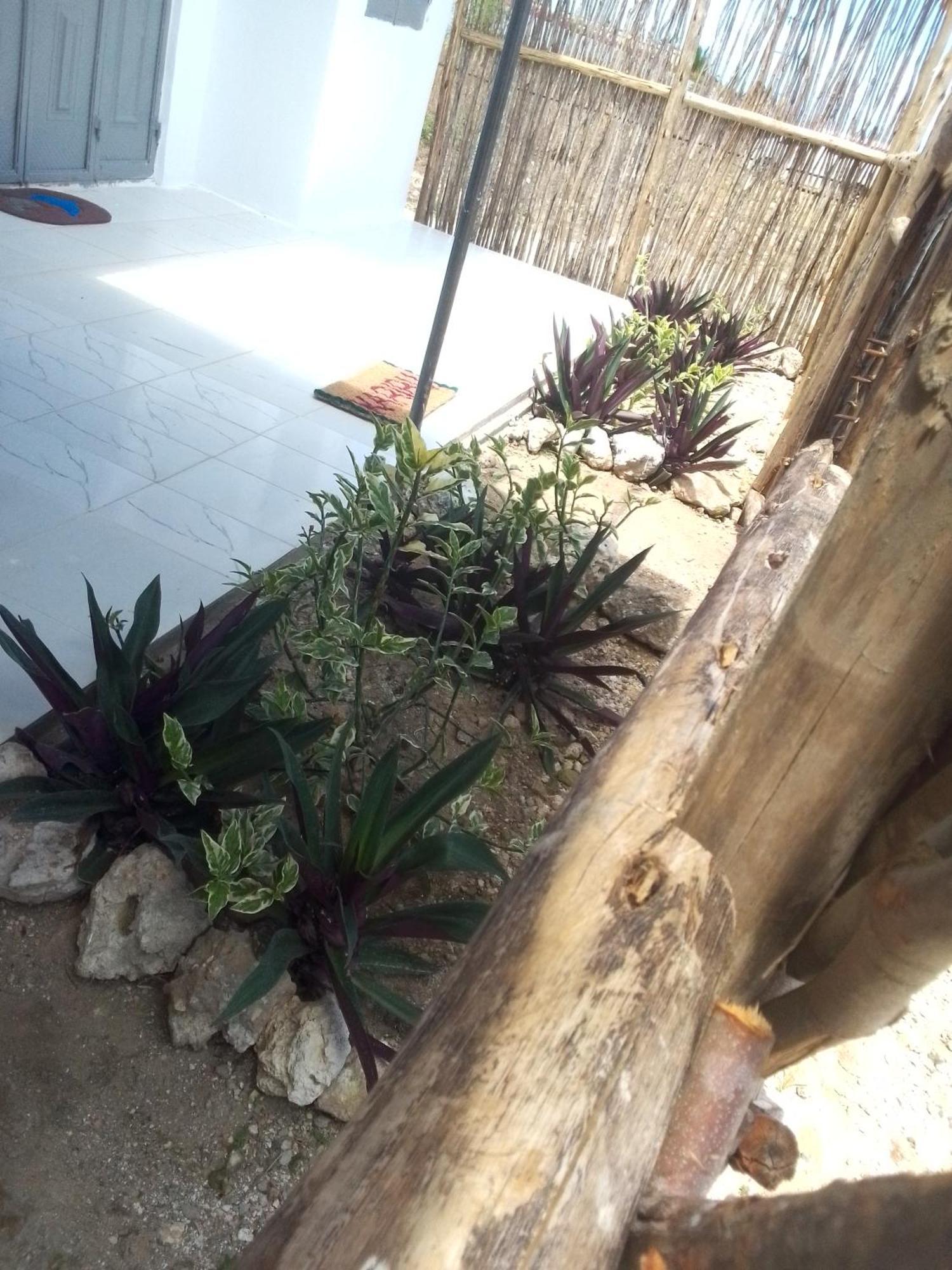 07 * Matemwe (Zanzibar)